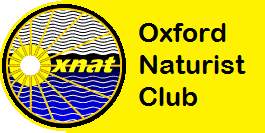 Oxnat logo